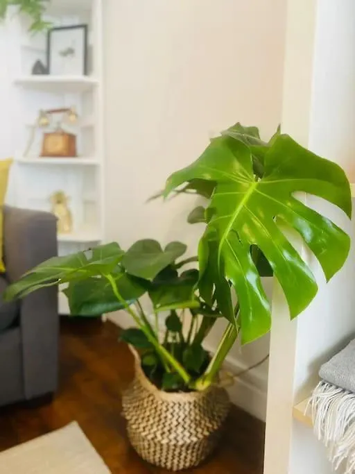 Domus Aurea Appartement Parijs Frankrijk